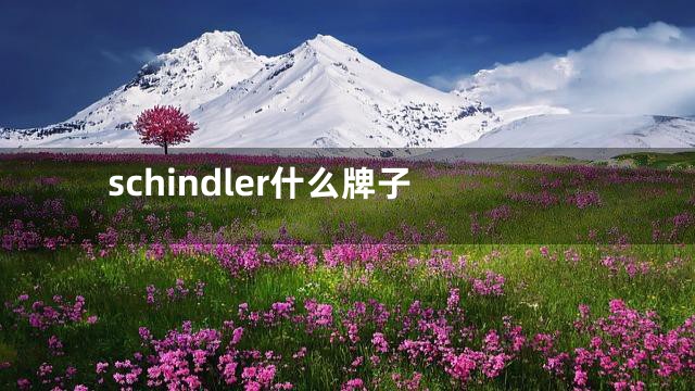 schindler什么牌子