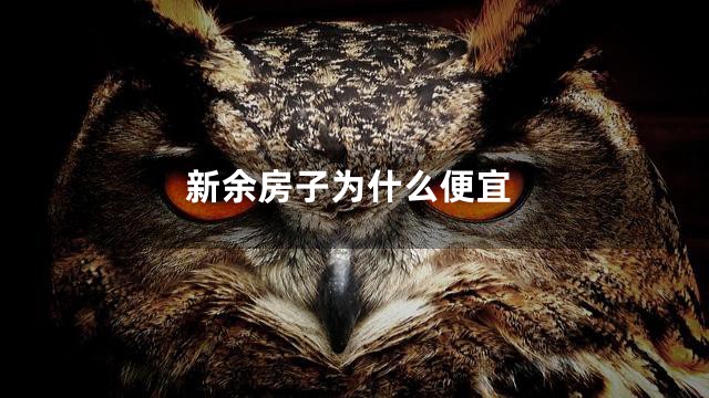 新余房子为什么便宜