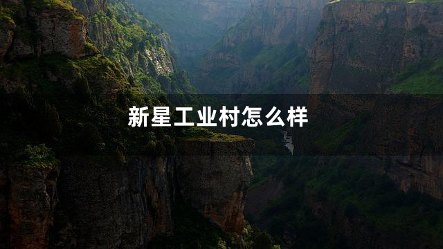 新星工业村怎么样