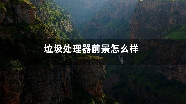 垃圾处理器前景怎么样