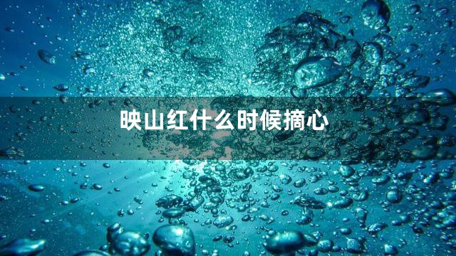 映山红什么时候摘心