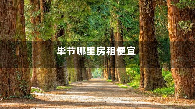 毕节哪里房租便宜