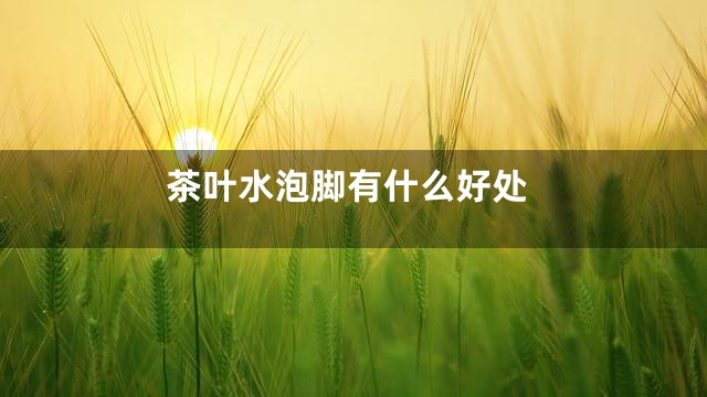 茶叶水泡脚有什么好处