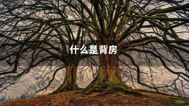 什么是背房