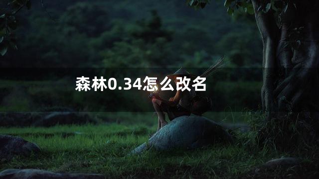 森林0.34怎么改名