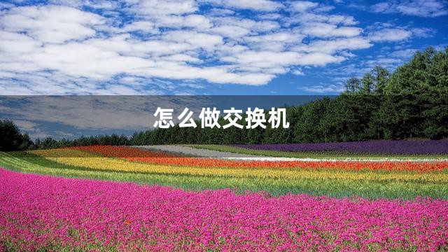 怎么做交换机