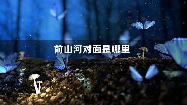 前山河对面是哪里