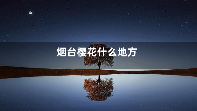 烟台樱花什么地方