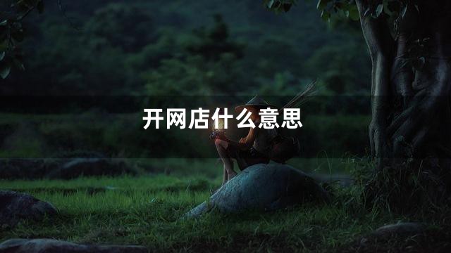开网店什么意思