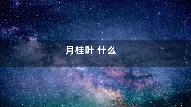 月桂叶 什么