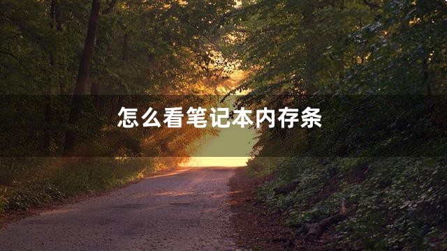 怎么看笔记本内存条
