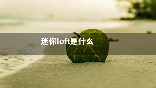 迷你loft是什么