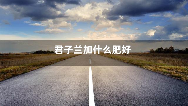 君子兰加什么肥好