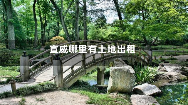 宣威哪里有土地出租