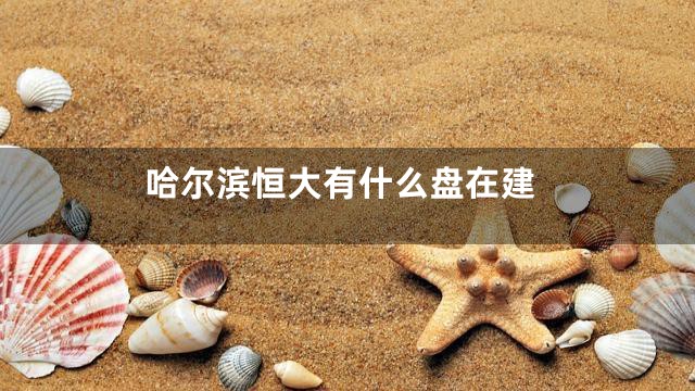 哈尔滨恒大有什么盘在建