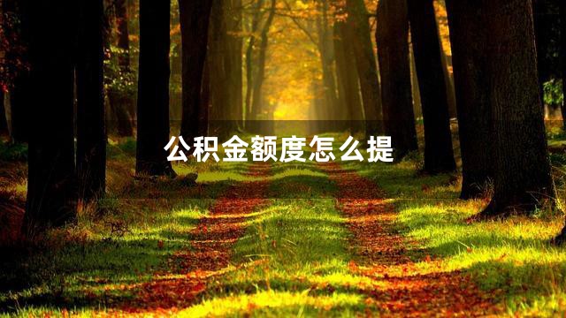 公积金额度怎么提