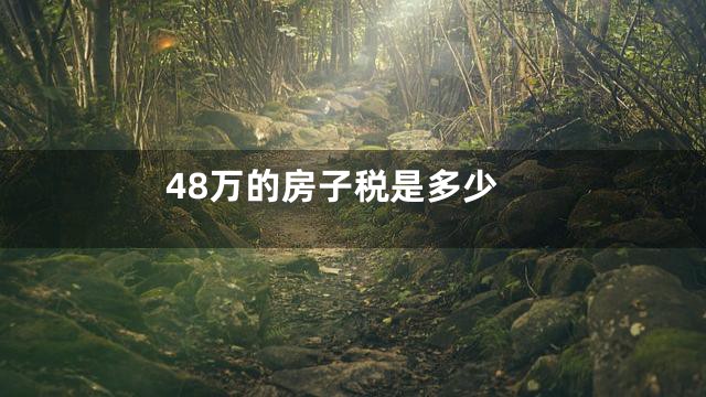 48万的房子税是多少