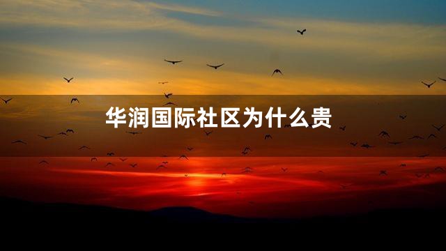 华润国际社区为什么贵