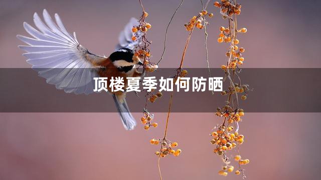 顶楼夏季如何防晒