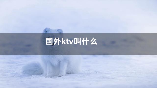 国外ktv叫什么