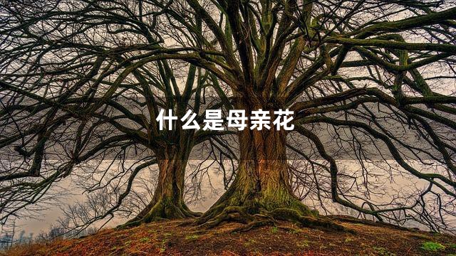 什么是母亲花