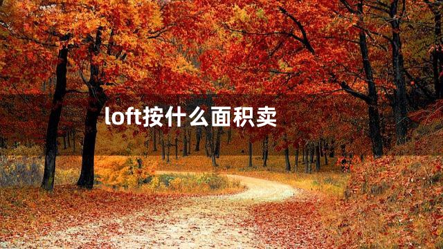 loft按什么面积卖