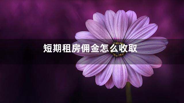 短期租房佣金怎么收取