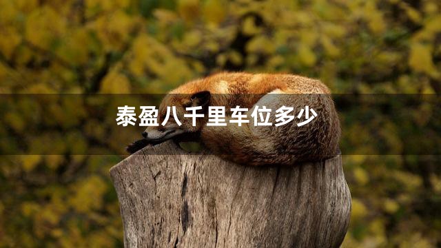 泰盈八千里车位多少