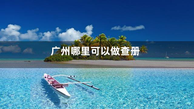 广州哪里可以做查册