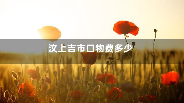 汶上吉市口物费多少