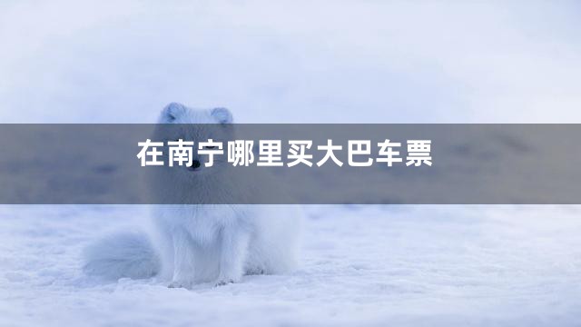 在南宁哪里买大巴车票