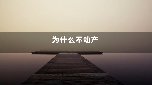 为什么不动产