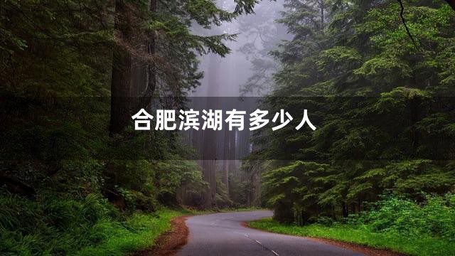 合肥滨湖有多少人