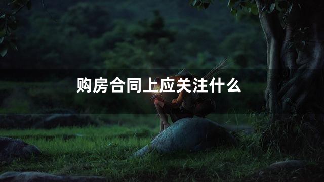 购房合同上应关注什么
