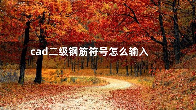 cad二级钢筋符号怎么输入