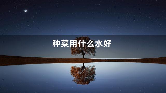 种菜用什么水好