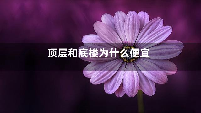 顶层和底楼为什么便宜