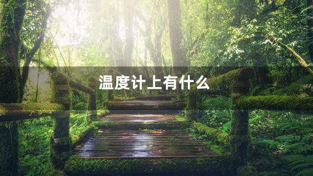 温度计上有什么
