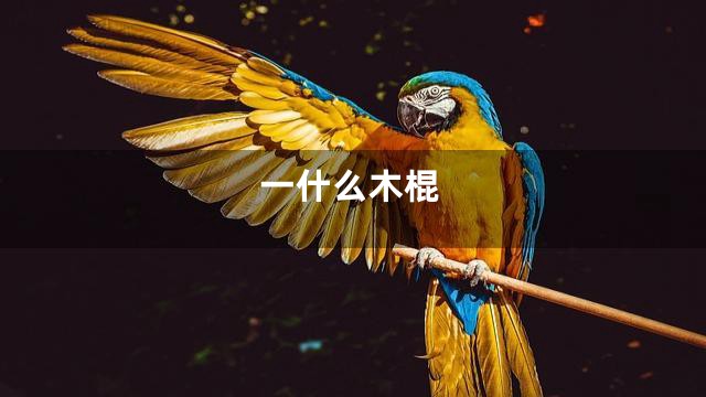 一什么木棍