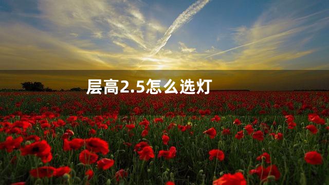 层高2.5怎么选灯