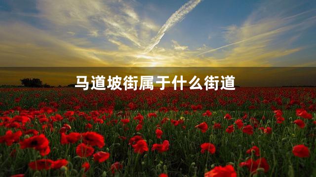 马道坡街属于什么街道