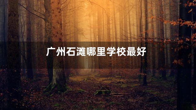 广州石滩哪里学校最好
