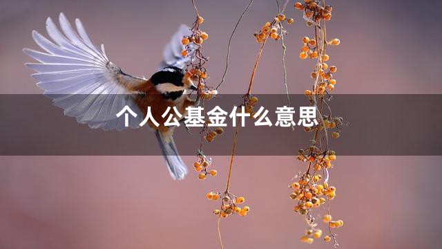 个人公基金什么意思