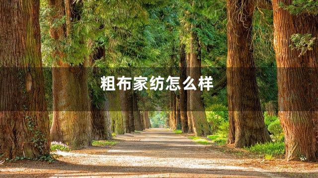 粗布家纺怎么样