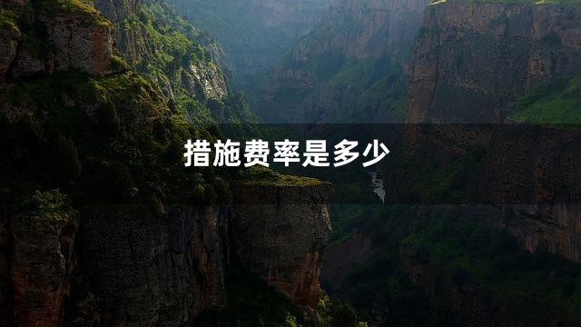 措施费率是多少