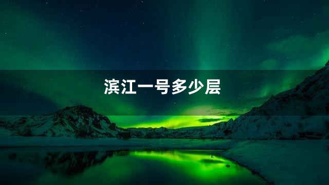 滨江一号多少层