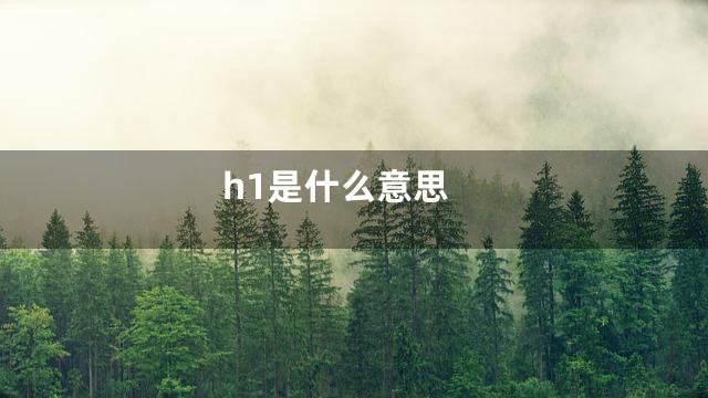 h1是什么意思