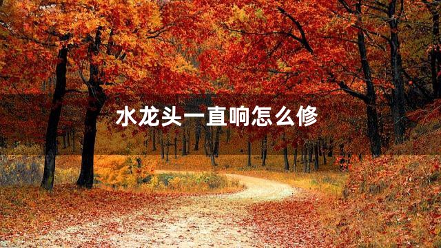 水龙头一直响怎么修