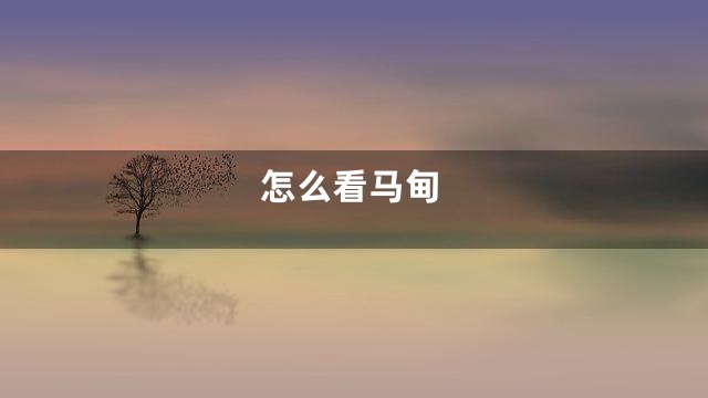 怎么看马甸