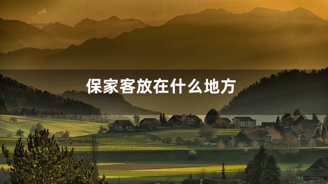 保家客放在什么地方